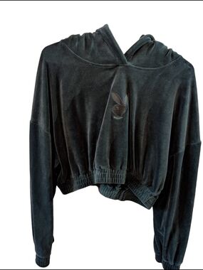 PLAYBOY Velvet Cropped Hoodie in Deep Green